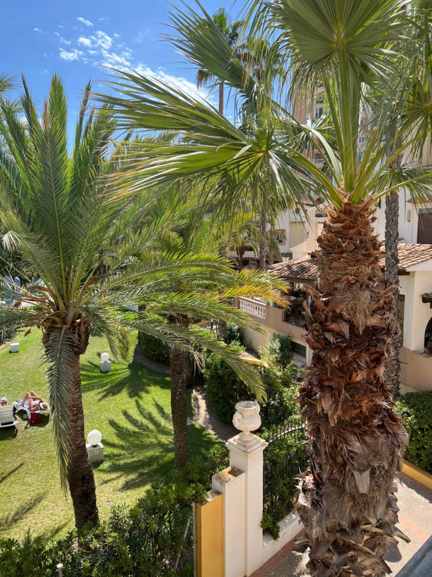 Casa Al Mare Aldea Apartment Torrevieja Exterior photo